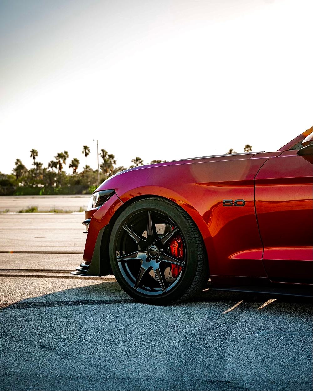 Ford Mustang Voxx Replica Mustang GT50